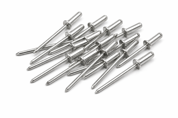 블라인드 리벳 [AL, SUS]